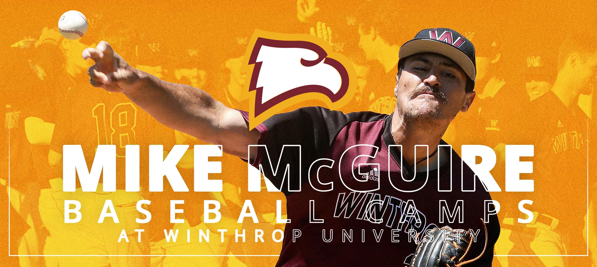 Mike McGuire Baseball Camps